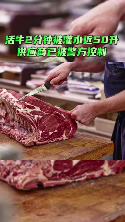 東莞調(diào)查取證公司-活牛被強(qiáng)行澆水，肉被賣到很多地方？東莞通報(bào)